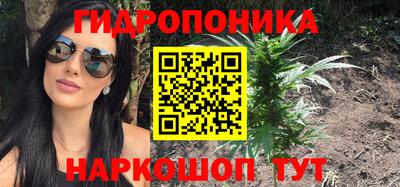 сатива Абакан