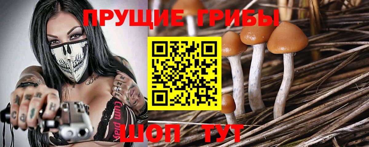 Галлюциногенные грибы мицелий Ейск